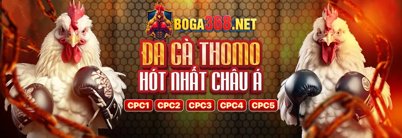 Sân vận động bóng đá với ánh đèn rực rỡ và không khí sôi động của cá cược thể thao tại France98 Win