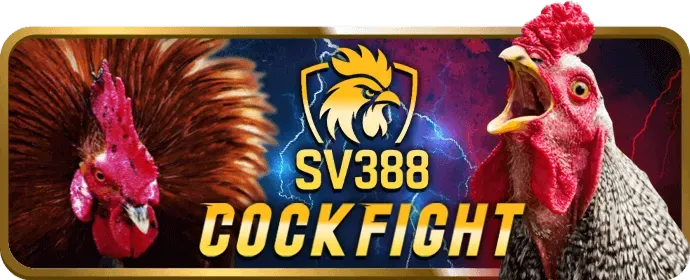 Giới hạn đặt cược cao hơn france98 win